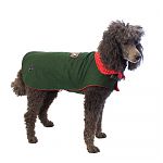 Pudel mit Hundemantel Loden grün stehend