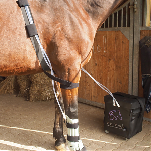 Kühlkompressionsbandage mit Deckengurt und Führungsschlaufen