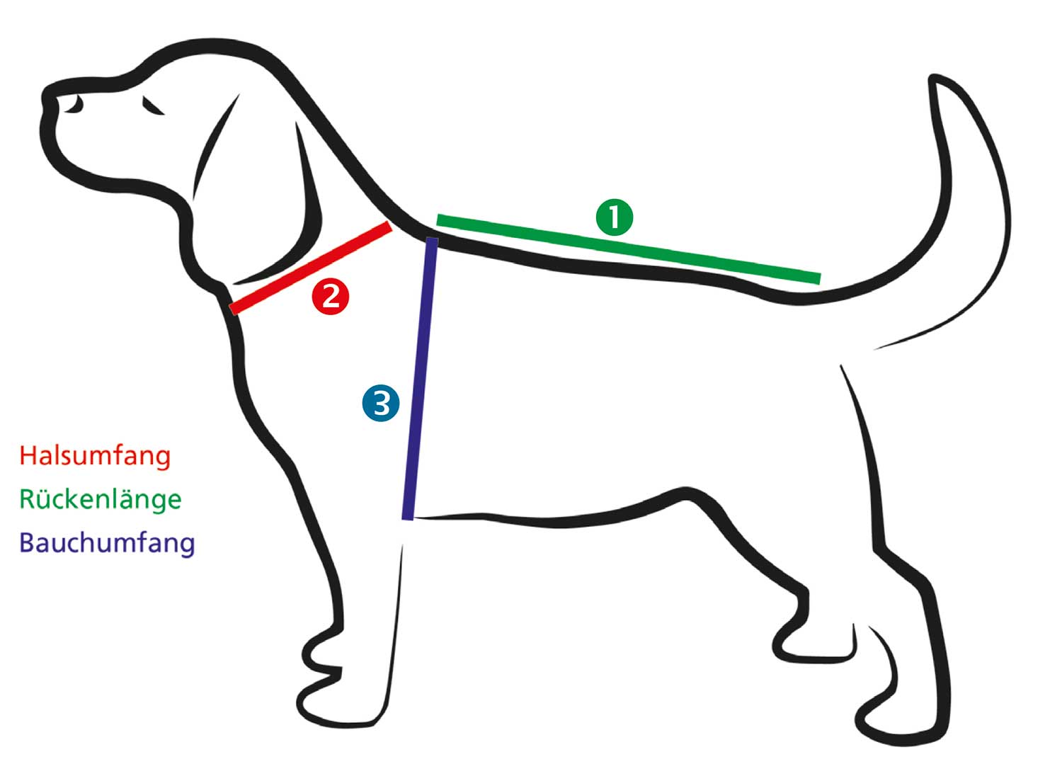 Bild Maße für Hundemantel 1-2-3