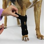 Karpi stabil öffnen/schließen oberer Klettgurt