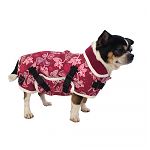 Chihuahua mit Hundemantel Softshell pink stehend