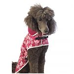 Pudel mit Hundemantel Softshell pink sitzend